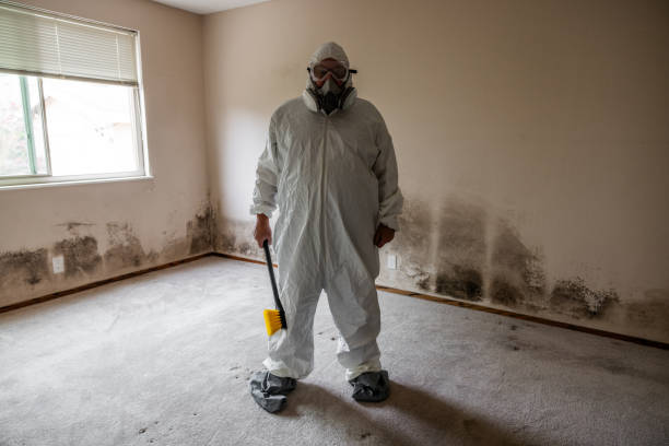 Nassau Village Ratliff, FL Mold Inspection, Removal & Remediation Company